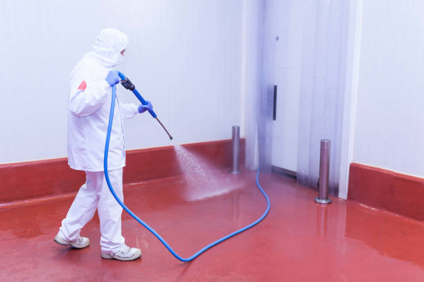 Best Pre-Holiday Cleaning  in Viera East, FL
