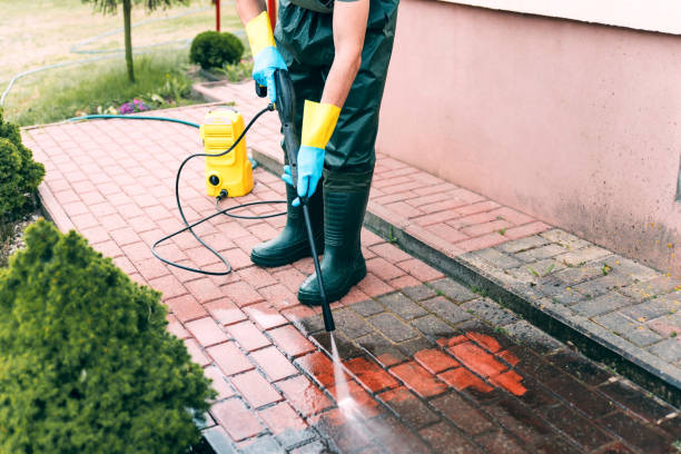 Best Gutter Cleaning  in Viera East, FL